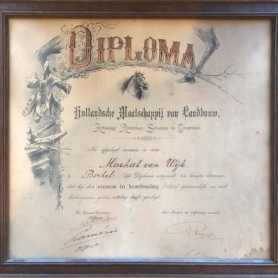Van Wijk Warmte Geschiedenis Diploma